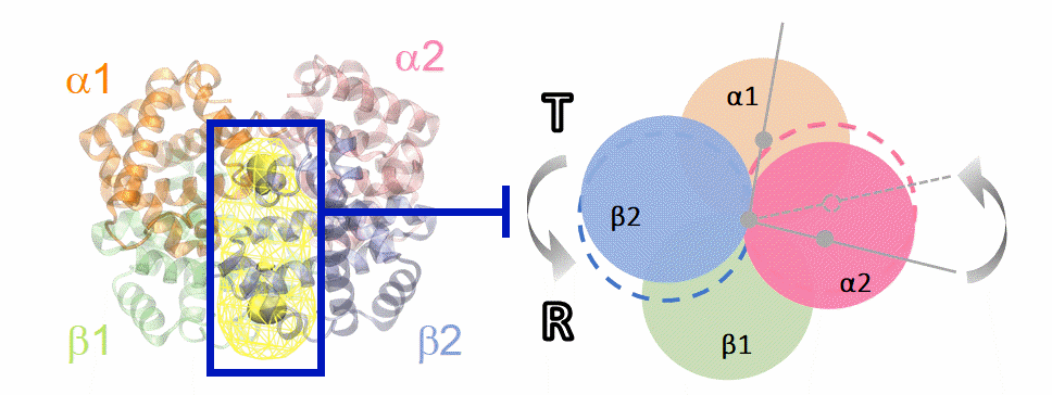 Graphical_abstract