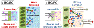 Graphical_abstract