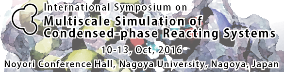International Symposium on Multi-scale Simulation of Condensed-phase Reacting Systems (MSCRS2016)