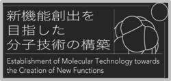 Establishment of Molecular Technology towards the Creation of New Functions