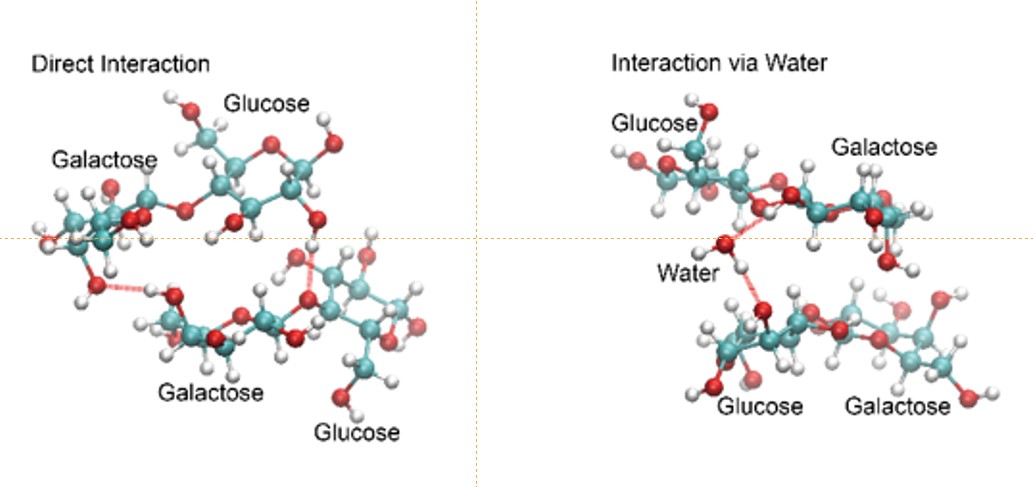 Graphical_abstract